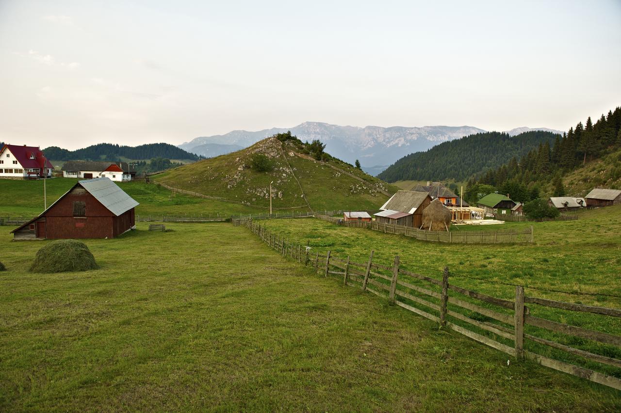 Complex Padina Ursului Fundata Exterior foto